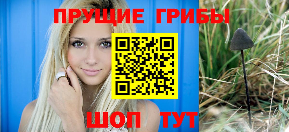 Псилоцибиновые грибы ЛСД Кохма