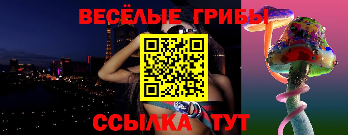 Псилоцибиновые грибы ЛСД  Псилоцибиновые грибы мицелий  Кохма  Вход с VPN 